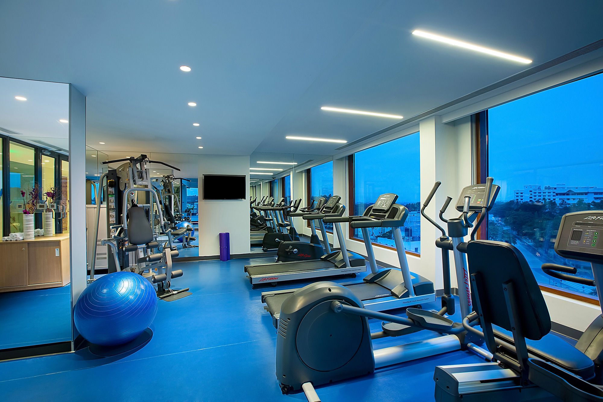 Grand Mercure Mysore - An Accor Brand Екстериор снимка The gym at the hotel
